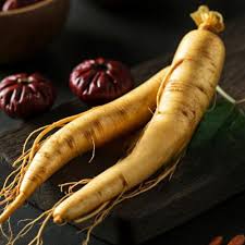 Nhân sâm (Panax Ginseng)